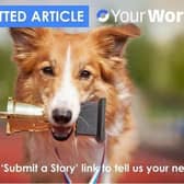 Send us your news - you'd be barking made not to!