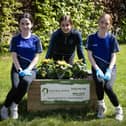 Year 8 students Freya Curran, Olivia Doherty and Kadie Daly take a break for a photo.