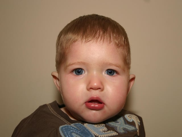 Shea Ward pictured at his first birthday party at home 9456dd : .