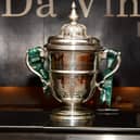 Plan your perfect cup final day with our guide to Sunday's FAI Cup final in Dublin! (Photo: Kevin Morrison)