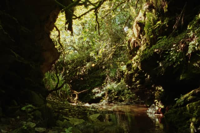 A still from Emily McFarland's film Pollanroe Burn (2025).
