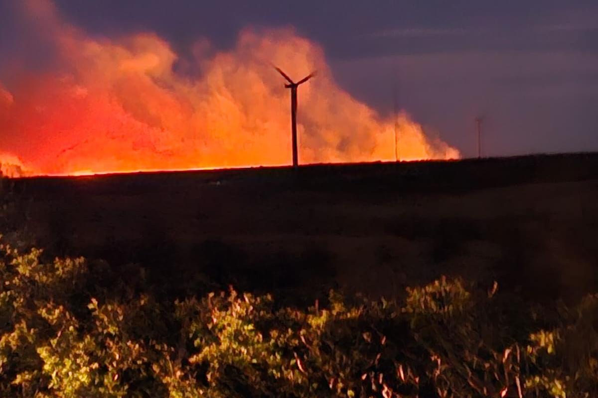 30 firefighters tackling wildfire along fire front of 500m in Polly’s ...