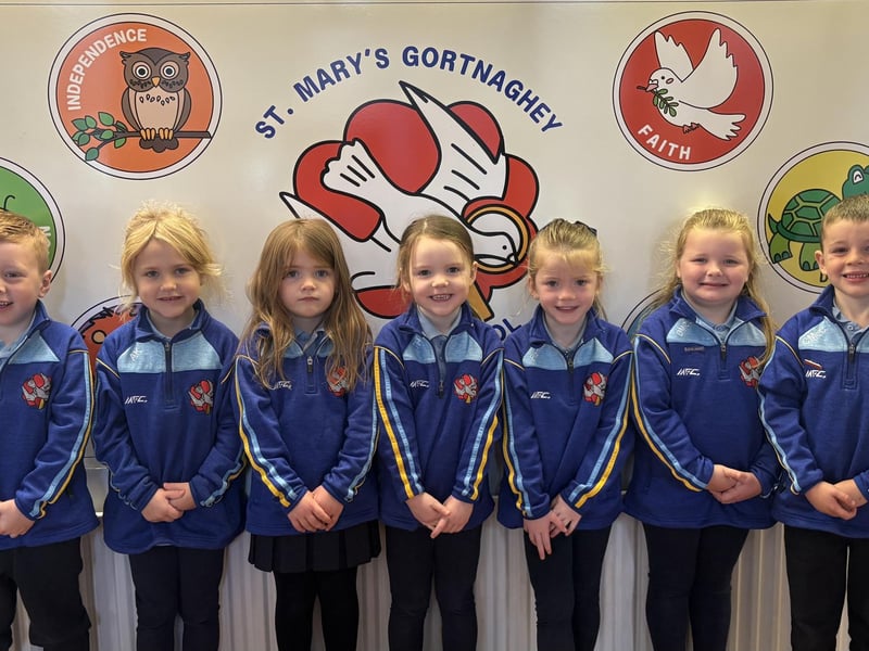 Mrs Walsh's P1 Class - St. Mary's PS, Gortnaghey.