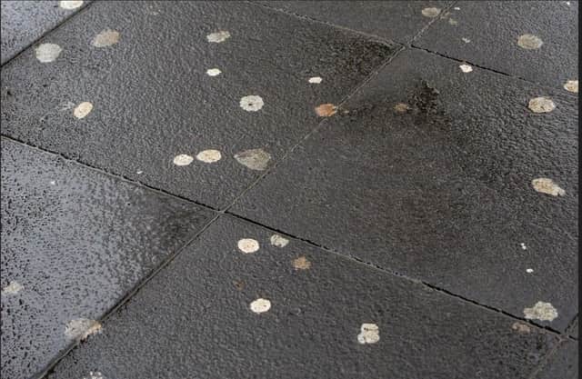 Chewing gum on the path.