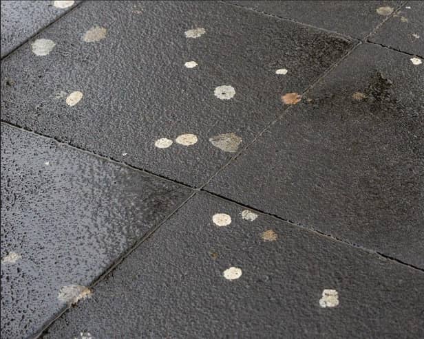 Chewing gum on the path.
