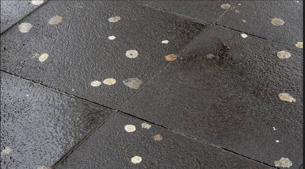 Chewing gum on the path.