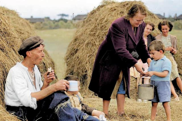 Old Ireland In Colour 3 by John Breslin and Sarah Anne Buckley is published by Merrion Press