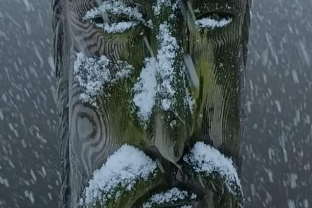 Derry snow 45