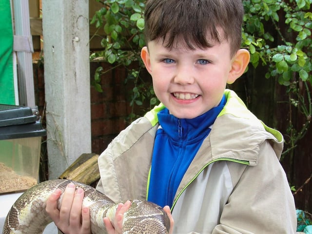Joshua with Damon the snake. (Photo - Tom Heaney, nwpresspics) : .