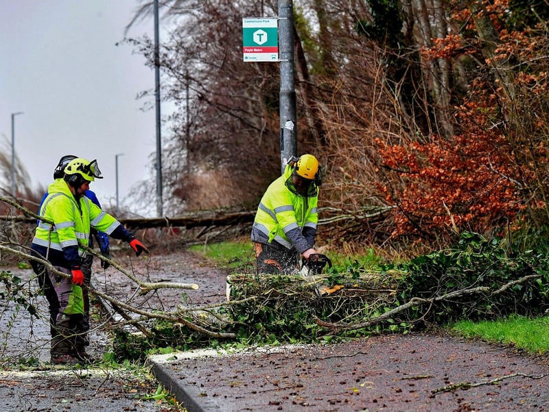 Removal of fallen tree from Creggan Road. Photo: George Sweeney