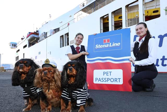 Stena Line declares 2025 the year of pet travel