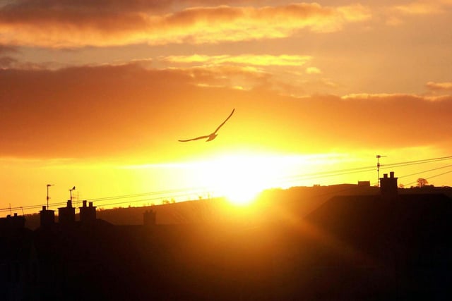 Sunrise over Creggan. Hugh Gallagher