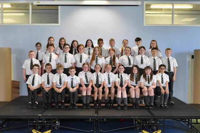 Mr Martin’s P7 class at Greenhaw Primary School.
