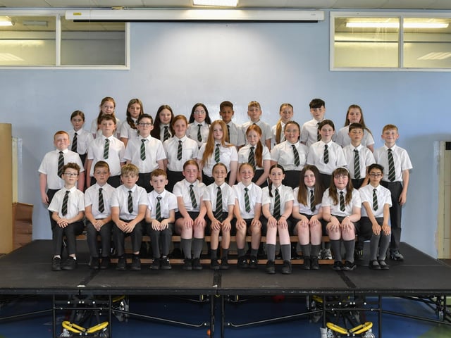 Mr Martin’s P7 class at Greenhaw Primary School.