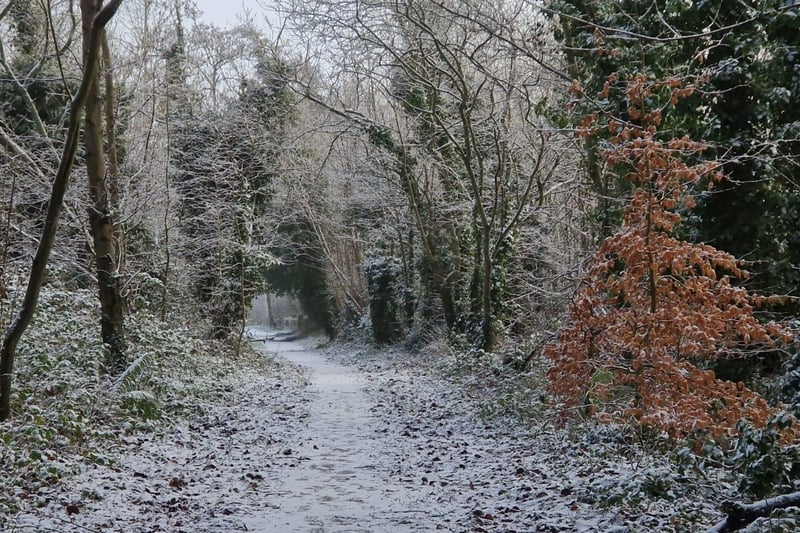 Bay Road Nature Reserve in Derry.