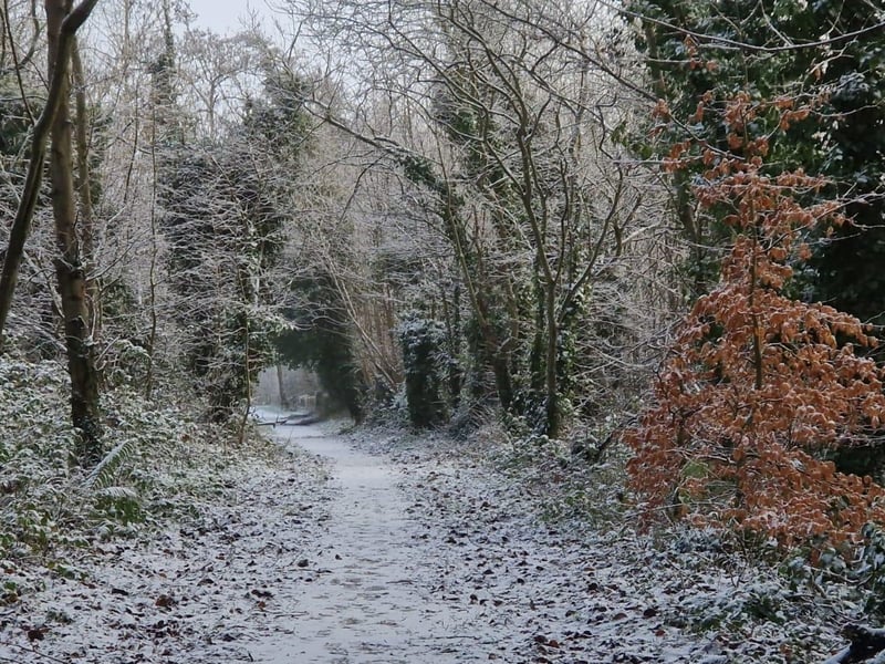 Bay Road Nature Reserve in Derry.