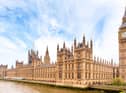 These were the smallest expense claims made by MPs in 2020 (Photo: Shutterstock)