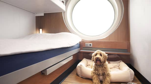 A pet friendly cabin