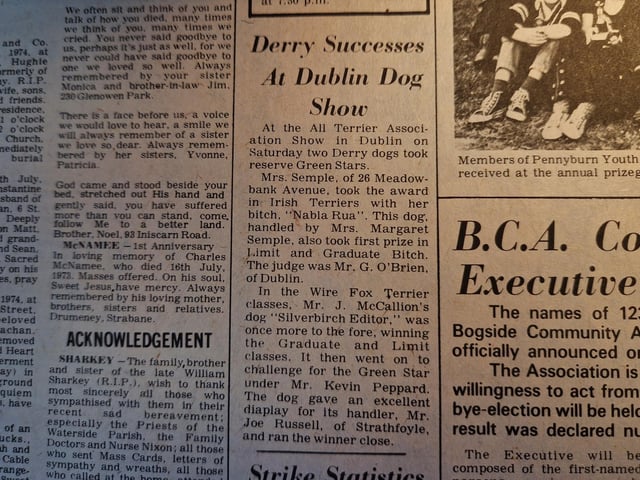 The Story reads: At the All Terrier Association show in Dublin on Saturday two Derry dogs took reserve Green Stars. Mrs. Semple, of 26 Meadow-bank Avenue, took the award in Irish Terriers with her, 'Nabla Rua'. This dog, handled by Mrs. Margaret Semple, also took first prize in limit and graduate. The judge was Mr. G. O'Brien, of Dublin. In the Wire Fox Terrier classes, Mr. J. McCallion's dog 'Silverbirch Editor,' was once more to the fore, winning the Graduate and Limit classes. It then went on to challenge for the Green Star under Mr. Kevin Peppard. The dog gave an excellent display for its handler, Mr. Joe Russell, of Strathfoyle, and ran the winner close."