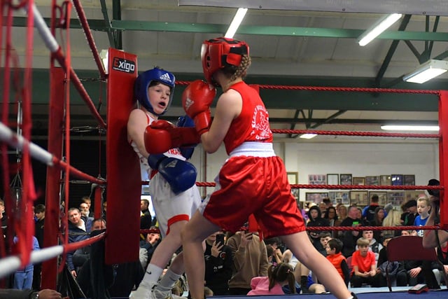 Sean Donaghy of Star of the Sea, left, boxing Oakleaf’s Anna O’Connor.  Photo: George Sweeney