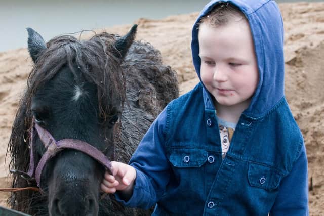 June 2012: A young Cianan Page finds a friend at the Horse Fair in the Brandywell area of Derry. Picture Martin McKeown. Inpresspics.com. 16.6.12