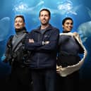 Xav, Marcus and Safa reveal secrets of the aquarium