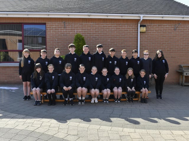 Mr Scott’s P7 class at Drumahoe Primary School.