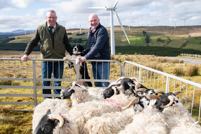L-R James McGee Chair of the Donegal Committee of the International Sheep Dog Society with his dog Glengreg Silver.