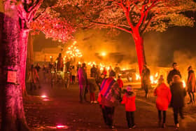 One of the fire installations on Grand Parade during a previous Hallowe'en Carnival.
