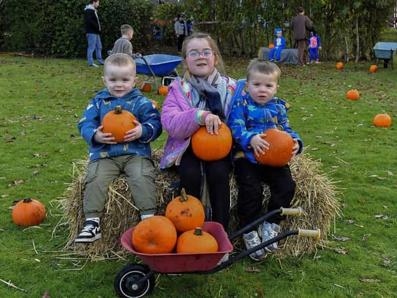 Members of the O’Donnell family Ben (2), Mia (6) and Jack (2) were at the Autumn Festival with Pumpkin Patch at St Columba’s Primary School, Newbuildings, on Saturday afternoon last. Photo: George Sweeney