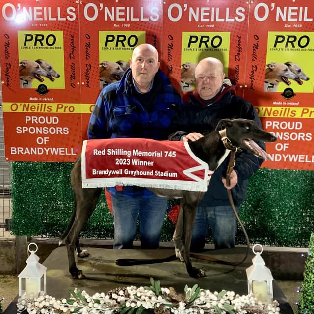 Lady Jo Ann who won the Red Shilling Memorial 745 Marathon in 41.63 with owner Jack McVeigh (right) and Frank McCullough. Thanks to the sponsors Marcus Tong & Madeleine Ellis.