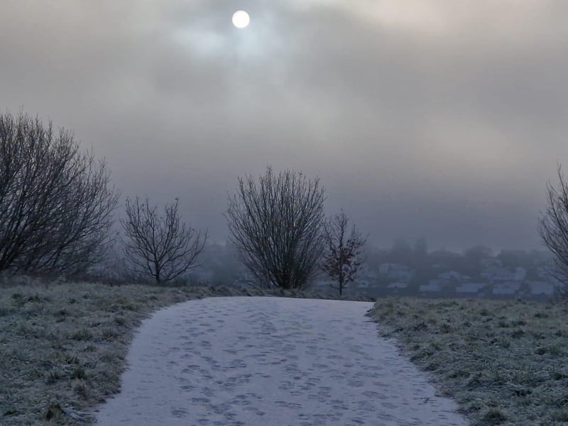 Bay Road Nature Reserve in Derry.