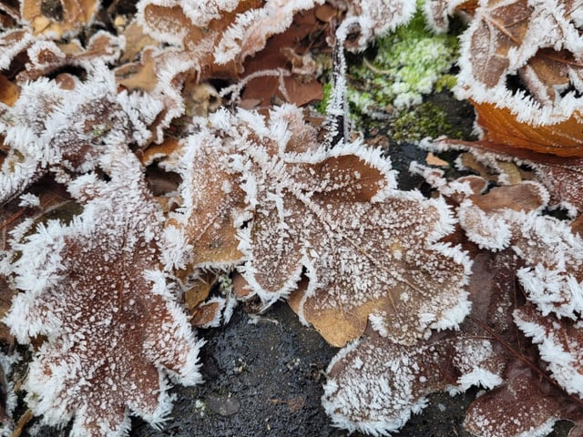 .:Winter walk on the Bay Road