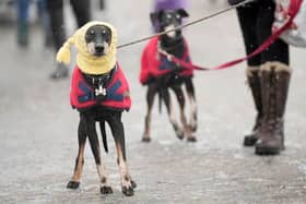 Wrap up warm this weekend.(Photo: Christopher Furlong/Getty Images) | Getty Images