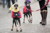 Wrap up warm this weekend.(Photo: Christopher Furlong/Getty Images) | Getty Images