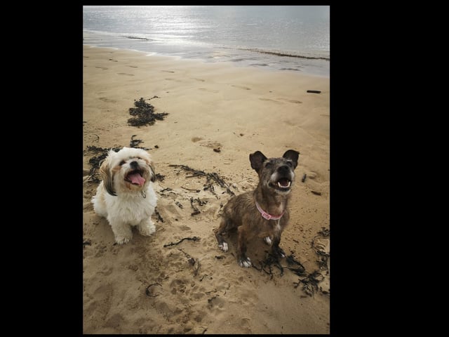 Phoebe & Molly