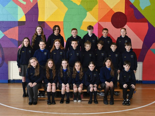 Mrs Brogan’s P7 class at St Therese Primary School.