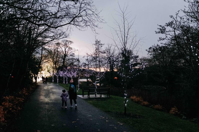 A pretty and festive scene in Swan Park.