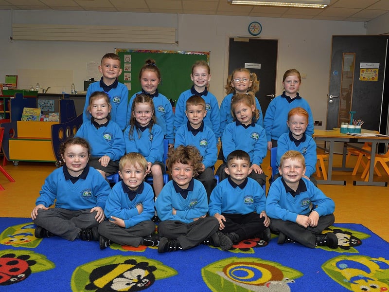 Mrs Armstrong’s P1 class at Newbuildings Primary School.