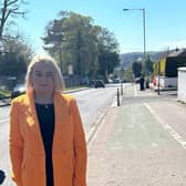 Sinn Fein candidate Sandra Duffy on the Racecourse Road.