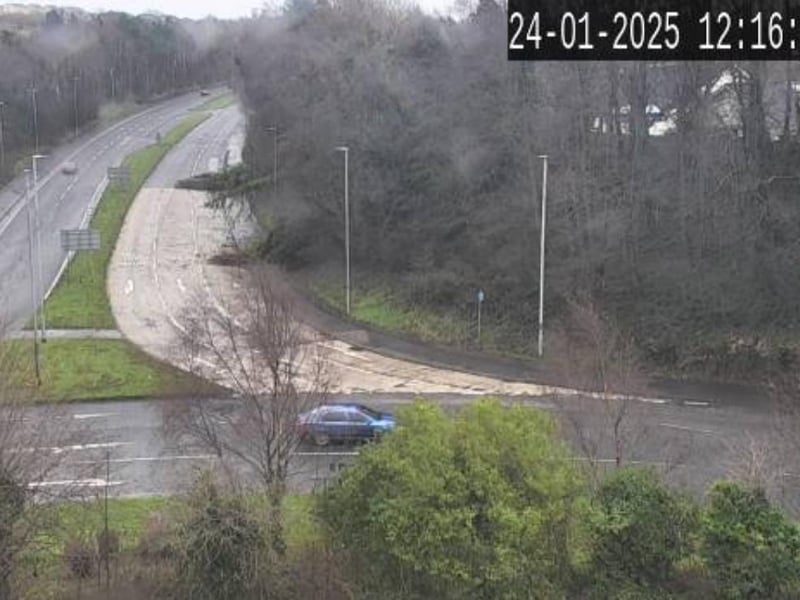 A number of trees have been felled by Storm Éowyn at the Crescent Link close to the Caw Roundabout.