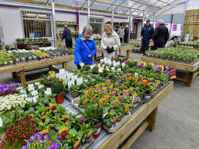 The newly opened Garden Centre at the Inishowen Cooperative Centre in Buncrana. Photo: George Sweeney