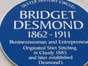 An Ulster History Circle blue plaque in honour of Bridget Desmond