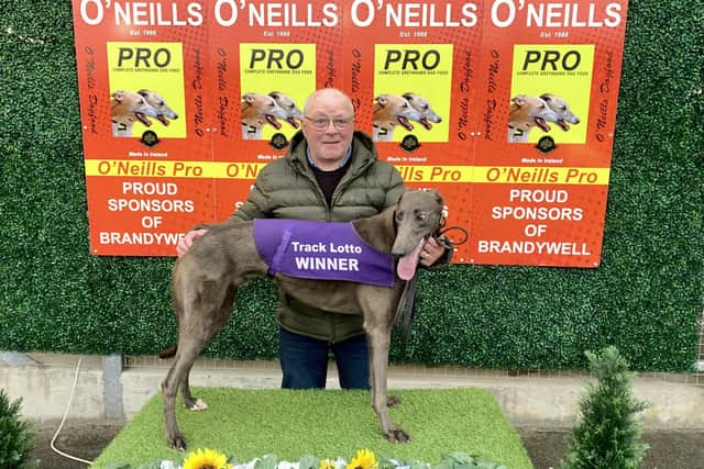 Leathems Bluey pictured with Tommy Connor.