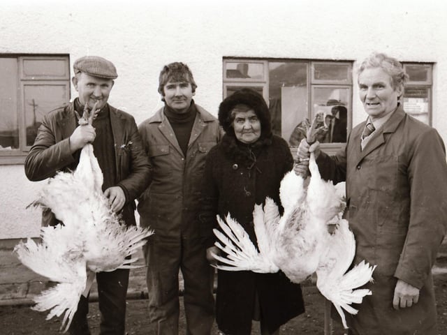 Burnfoot Mart Christmas Live Turkey Sale.