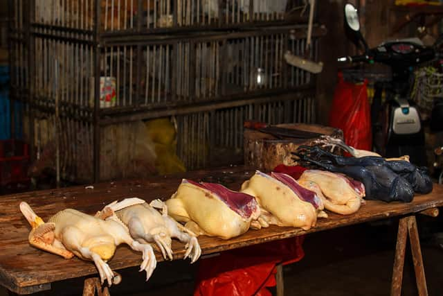 Poultry at a wet market in China.