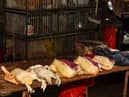 Poultry at a wet market in China.