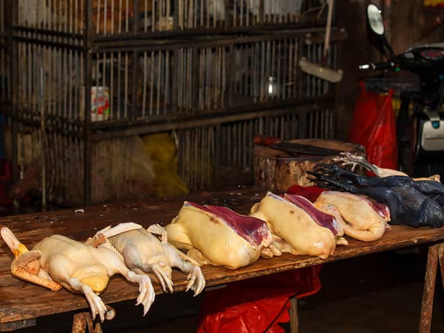 Poultry at a wet market in China.