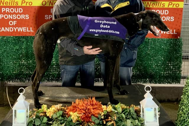 'Greener Pastures' who won the second race in 17.14 with Oliver Canavan (left) and Samuel Walker.