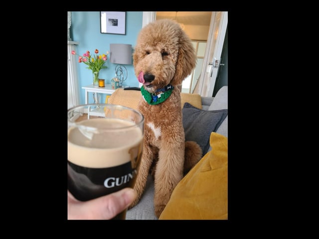 Dougie on St Patrick's day